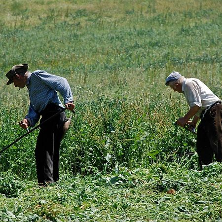 Turisme Rural Lo Palle De Cal Bosch Llagunes Екстериор снимка