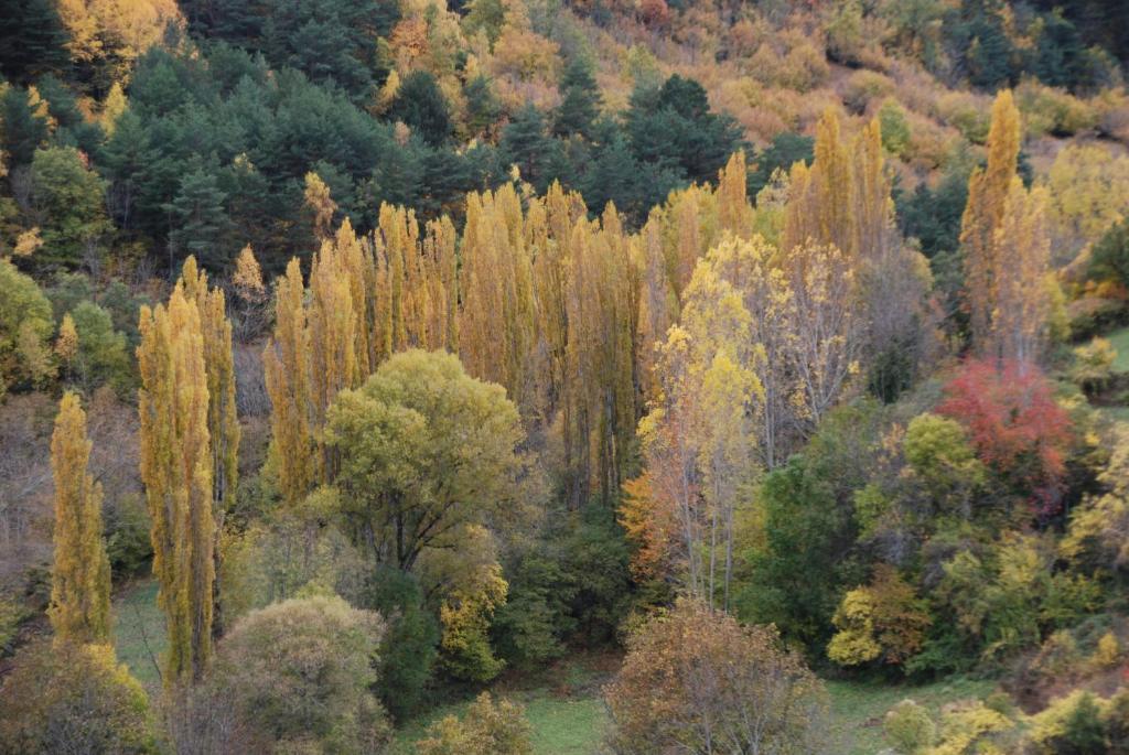 Turisme Rural Lo Palle De Cal Bosch Llagunes Екстериор снимка