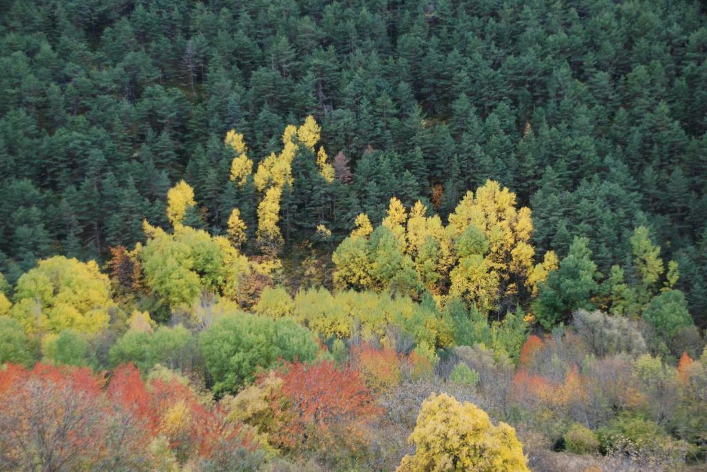 Turisme Rural Lo Palle De Cal Bosch Llagunes Екстериор снимка
