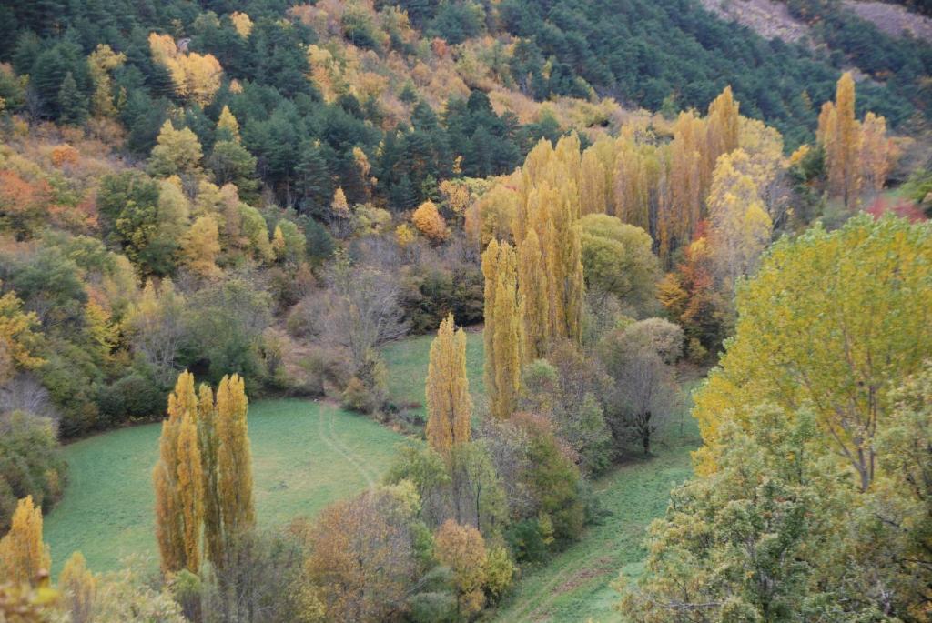 Turisme Rural Lo Palle De Cal Bosch Llagunes Екстериор снимка