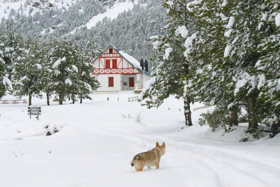 Turisme Rural Lo Palle De Cal Bosch Llagunes Екстериор снимка