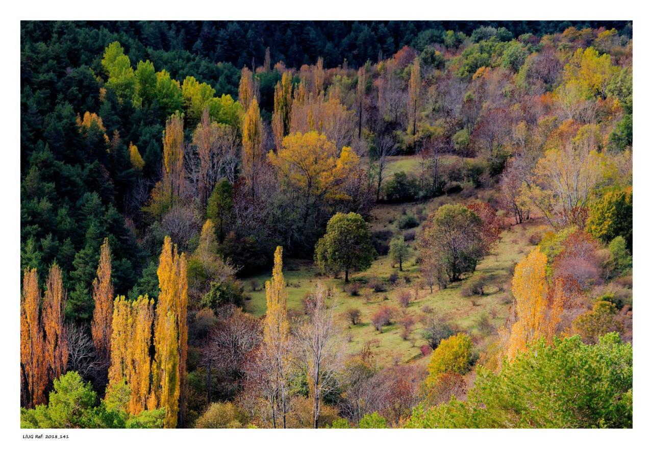 Turisme Rural Lo Palle De Cal Bosch Llagunes Екстериор снимка